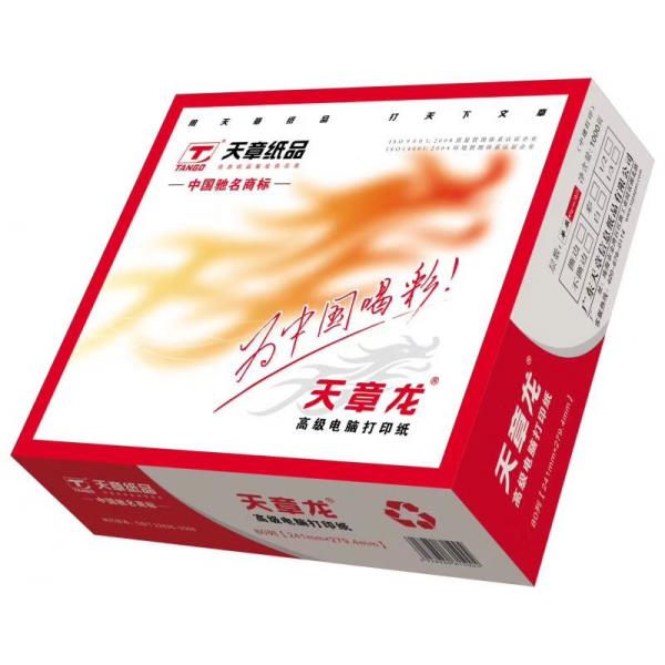 天章龙 241 系列撕边电脑打印纸 针式打印纸(1000页/箱)